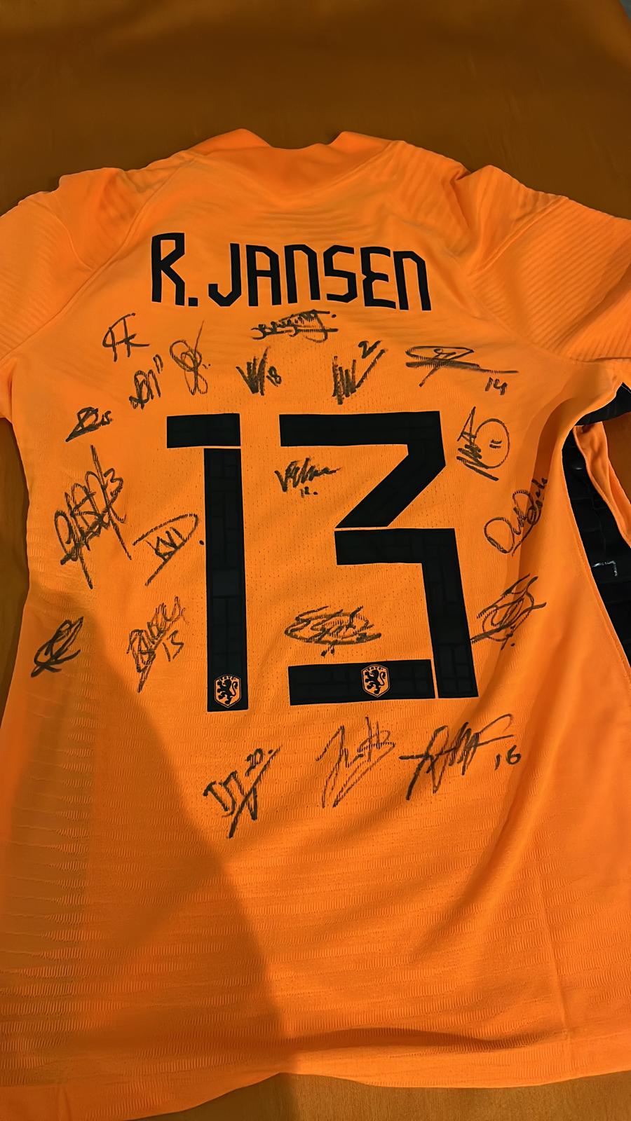 Wedstrijd Leeuwinnen